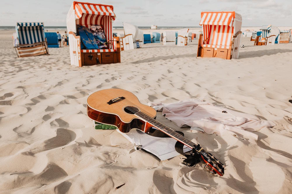 Viola pousada na areia da praia