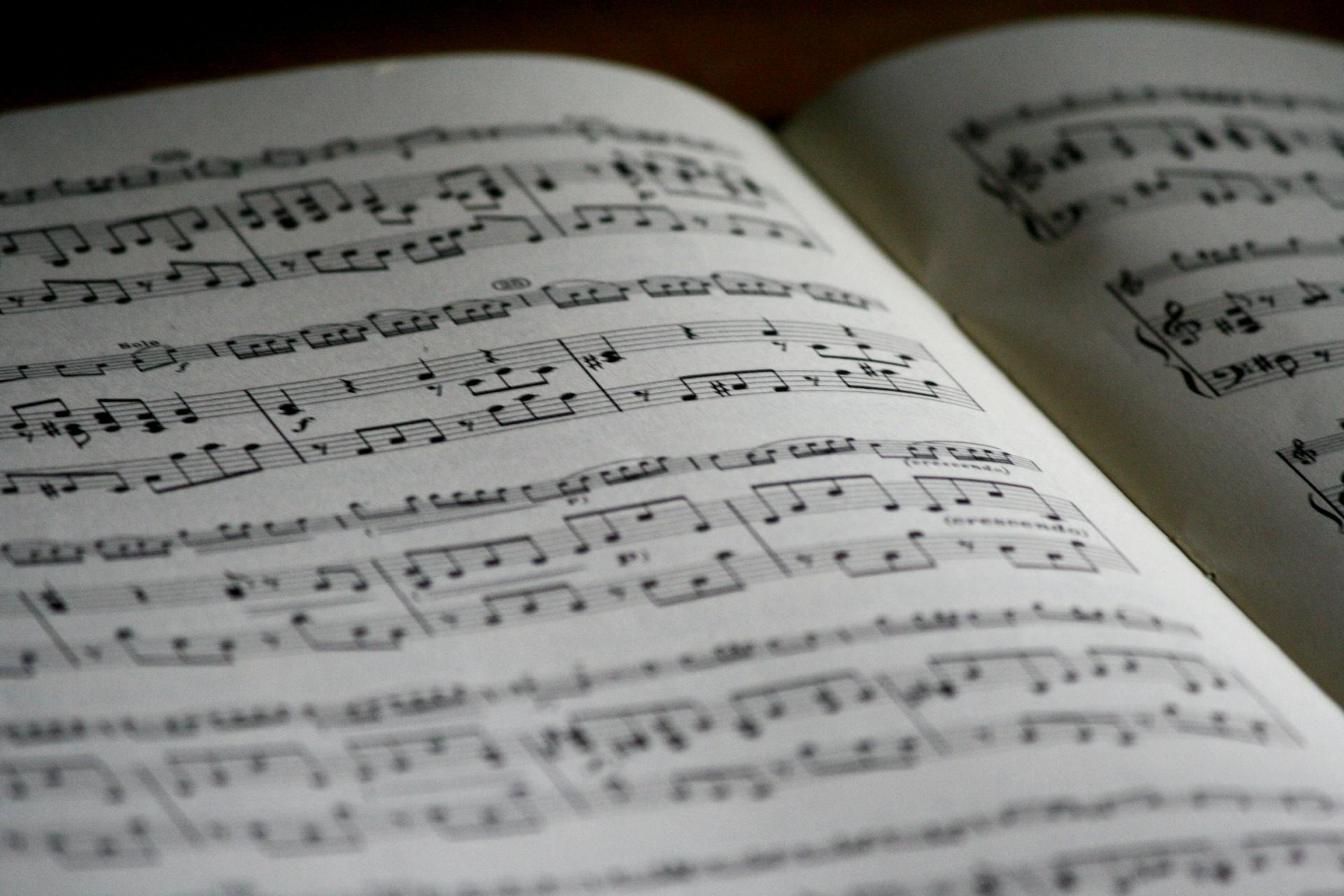 As notas são a base de qualquer aprendizagem musical