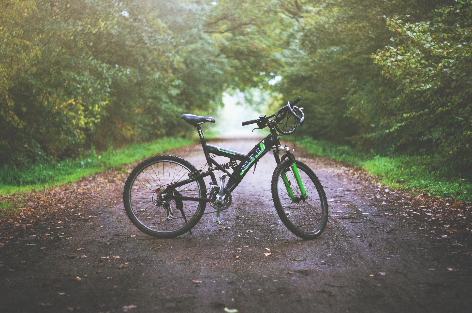 Andar de bicicleta faz bem à saúde