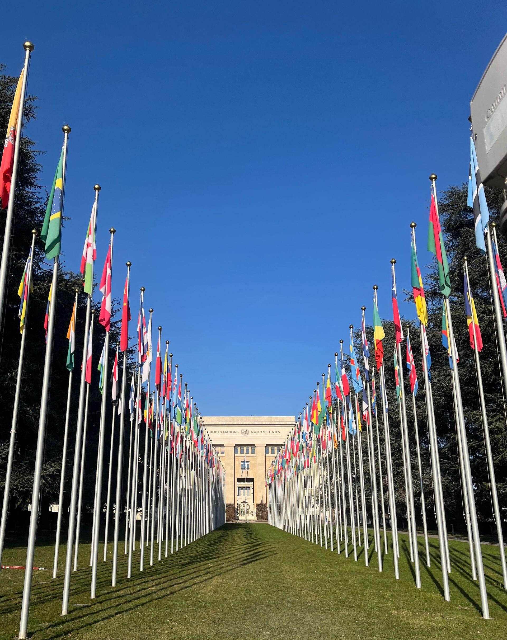filas de bandeiras na onu