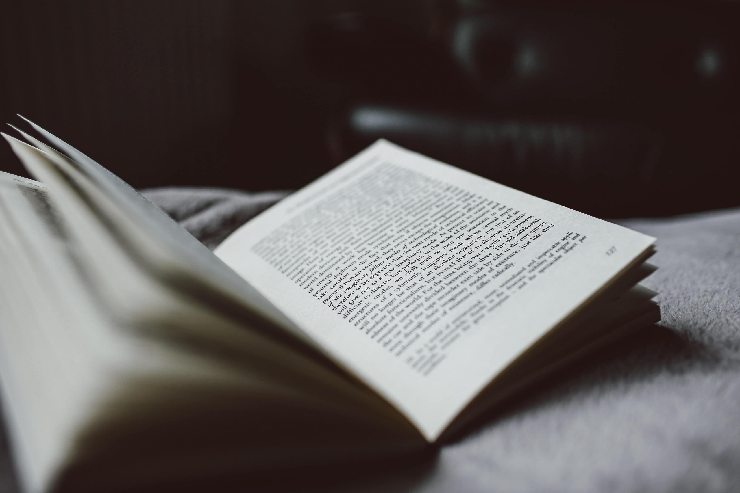 Cedo apaixonar-se-á pela literatura alemã