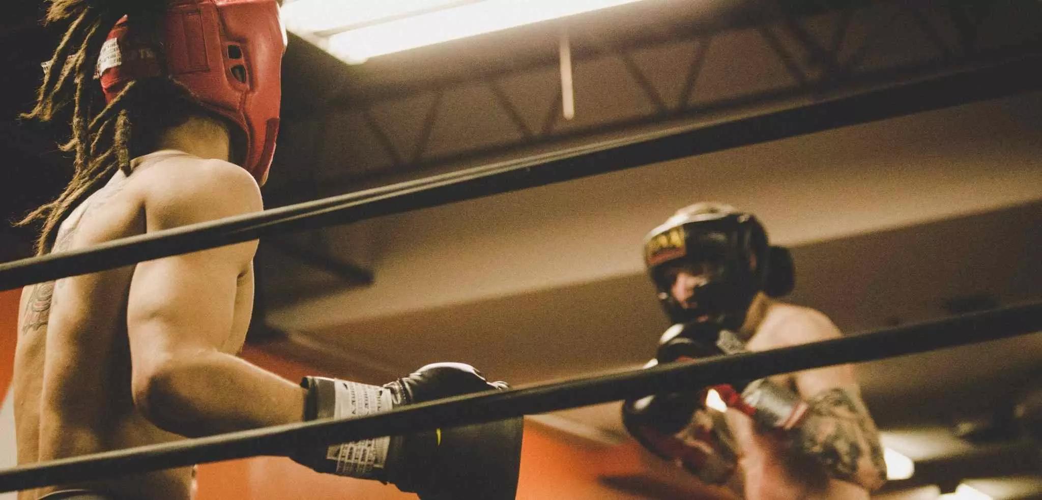Toda a ação num ringue de boxe
