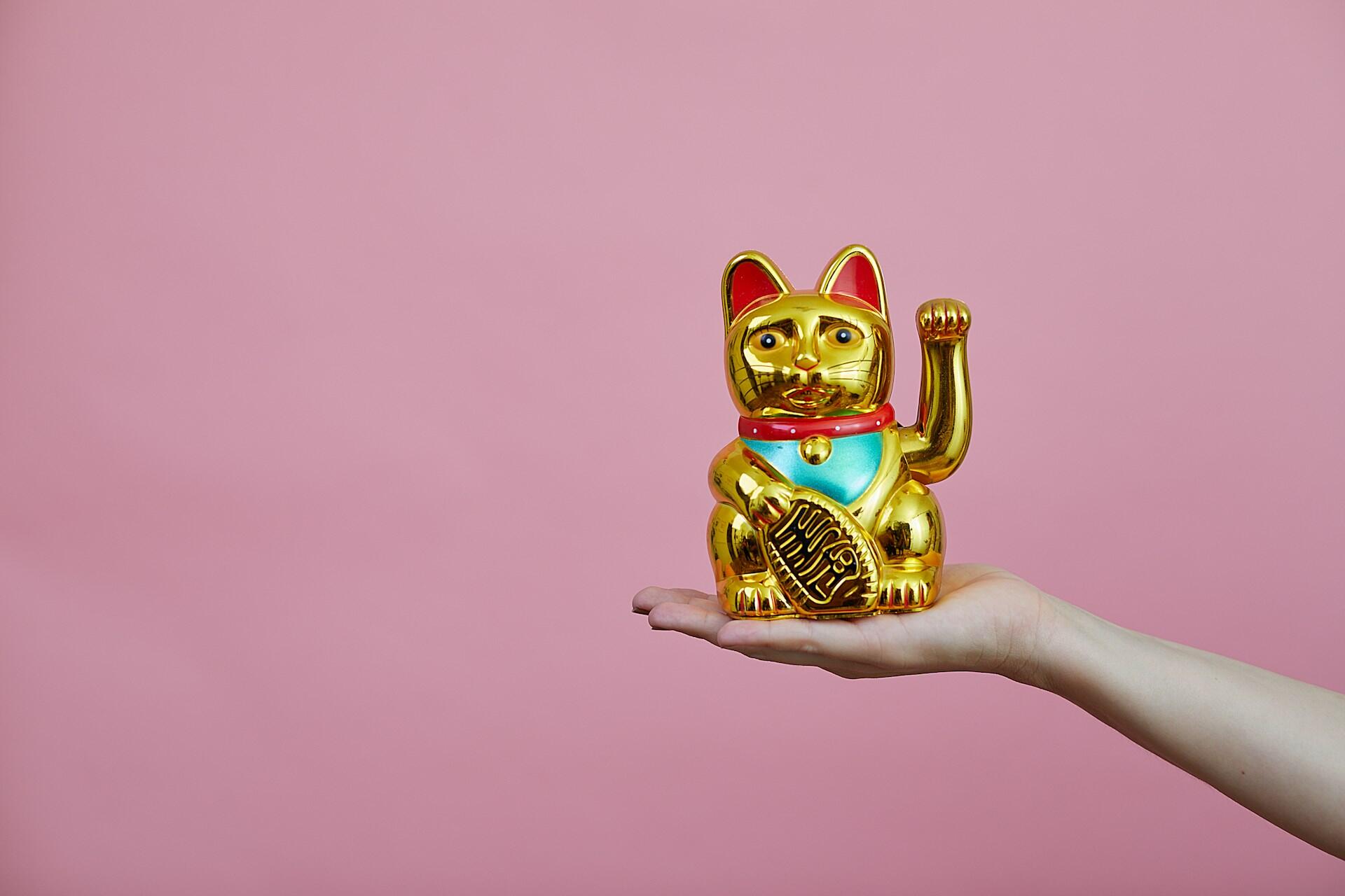 gato chines