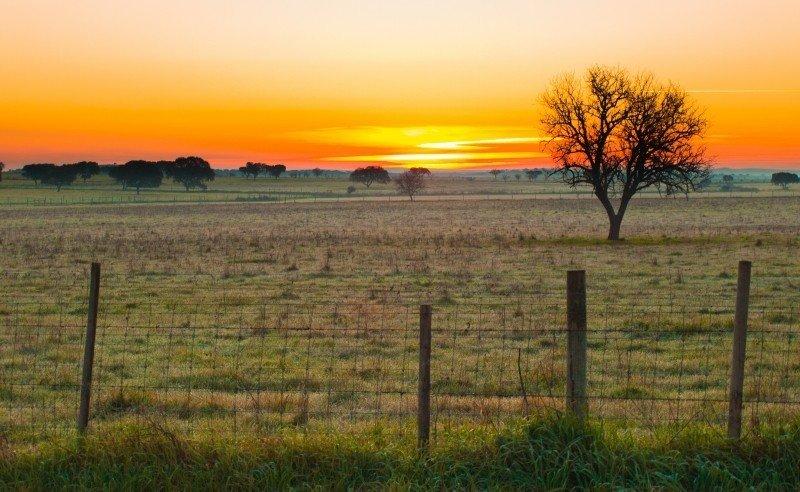 Paisagem alentejana