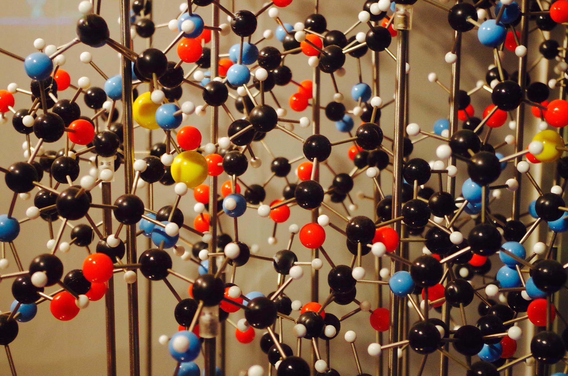 As biomoléculas tem sido uma das principais conquistas