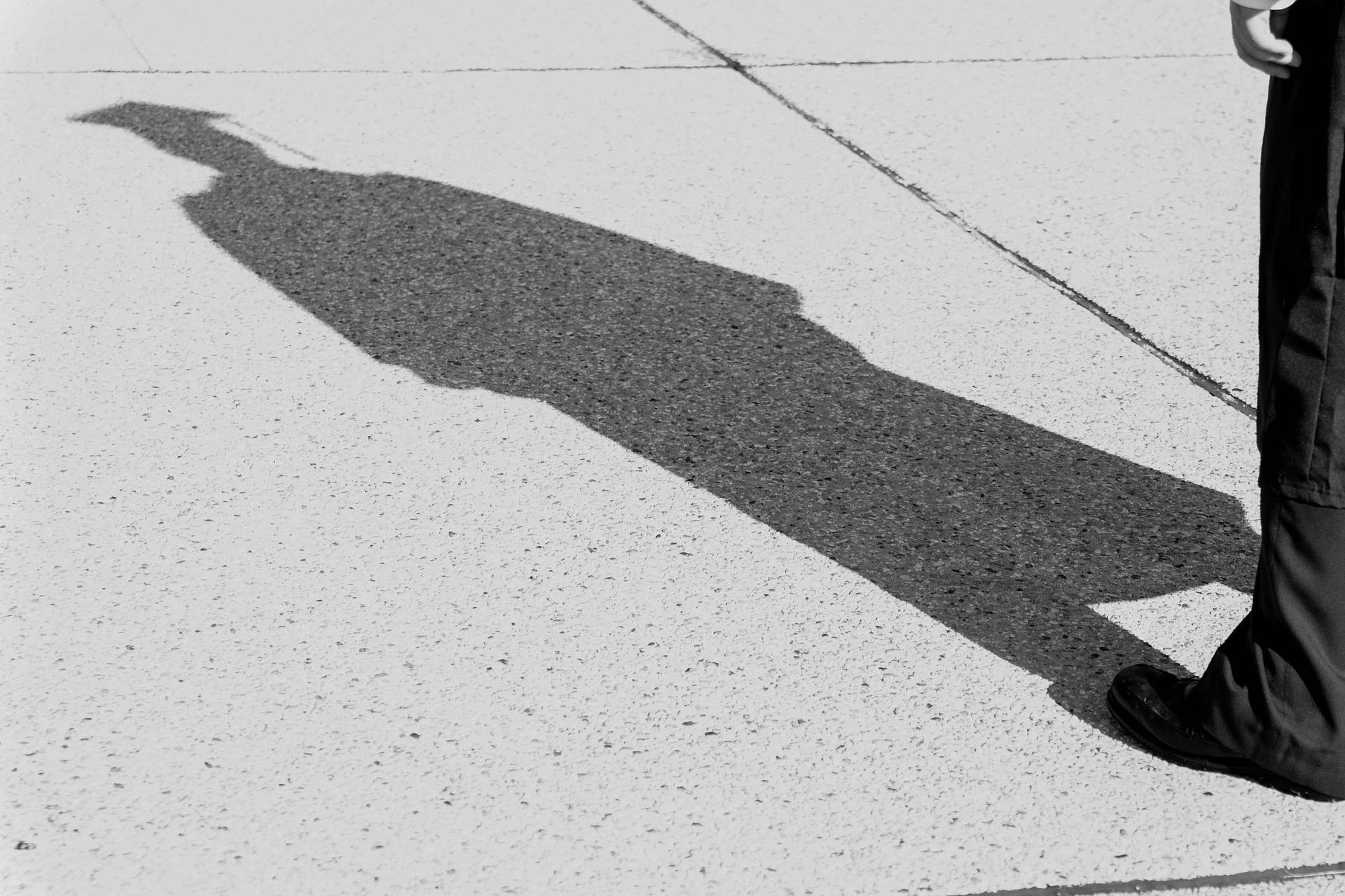 Profissional com diploma para aulas particulares