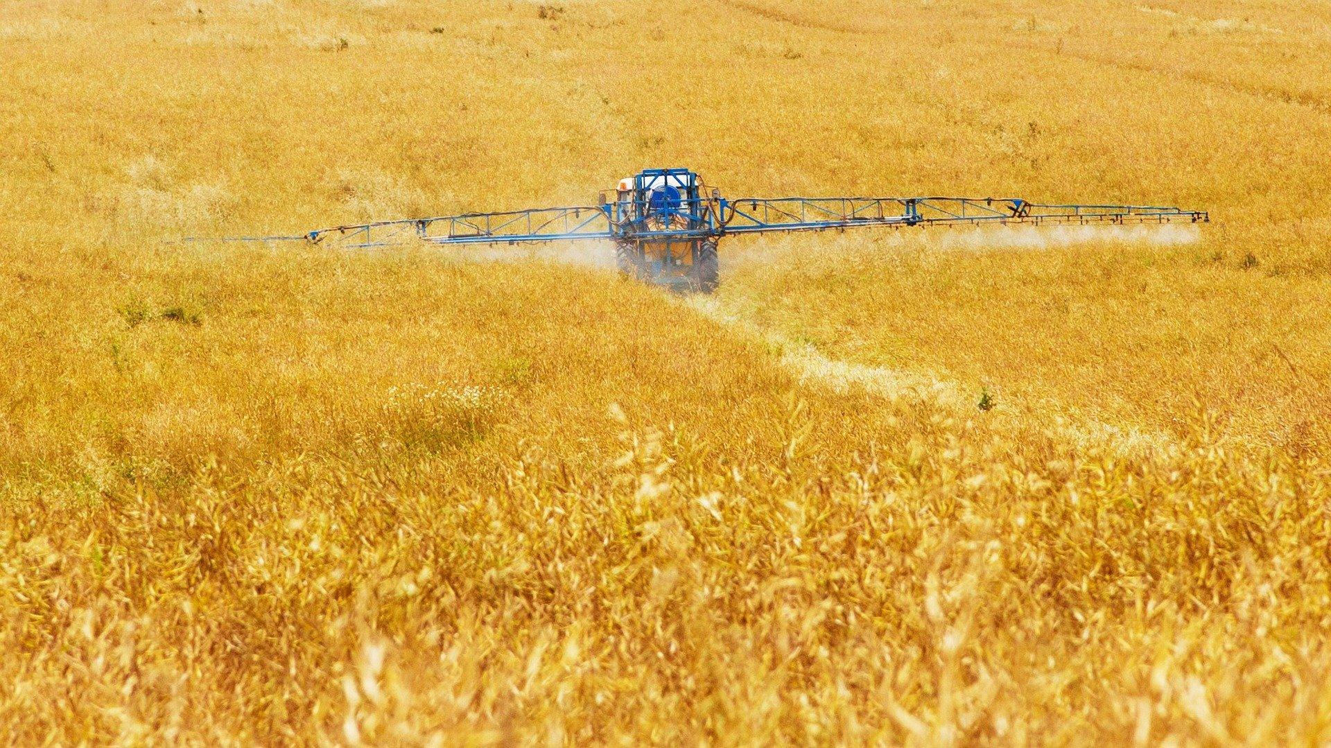 Os fertilizantes químicos na agricultura