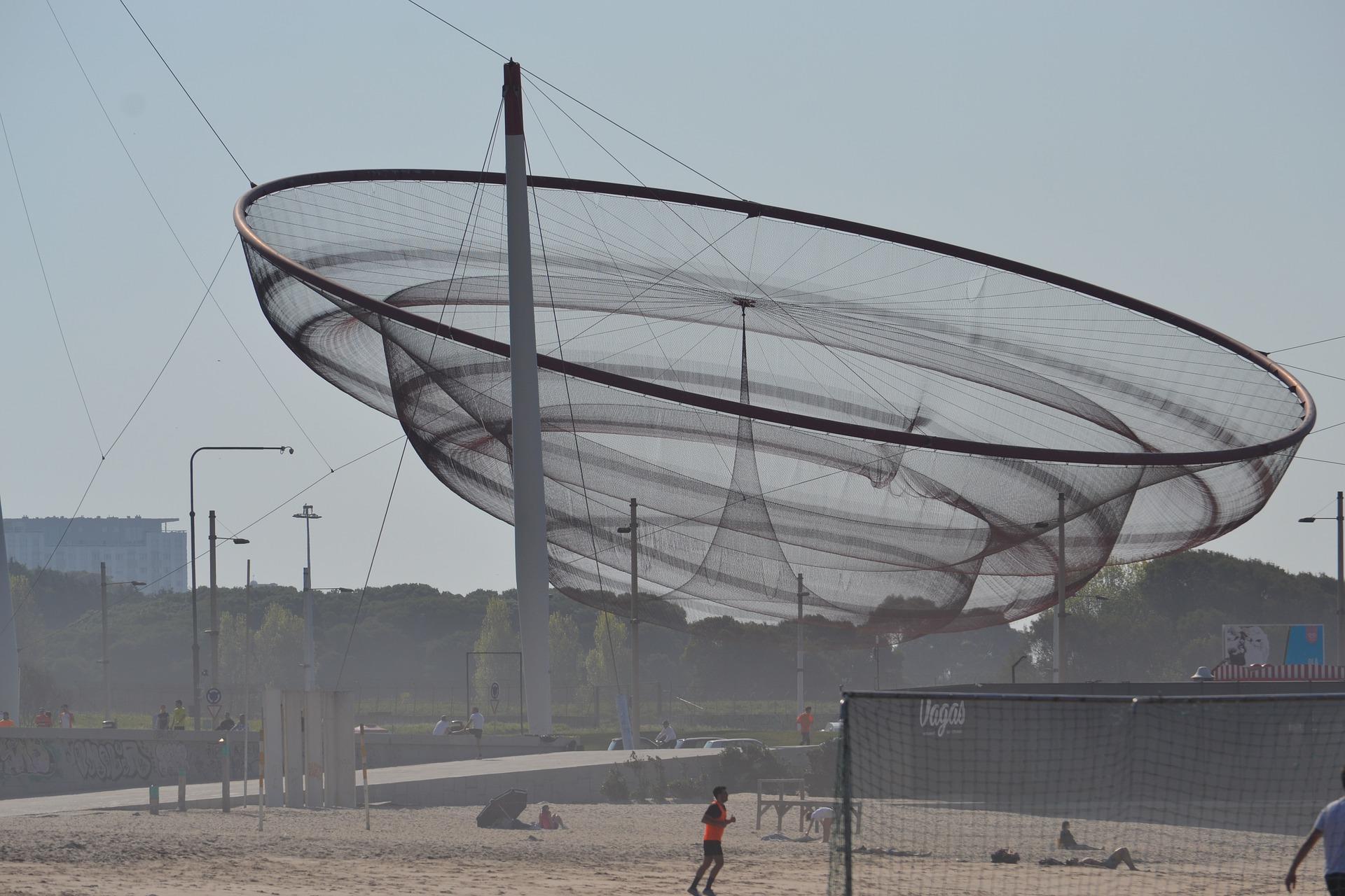 anémona de matosinhos