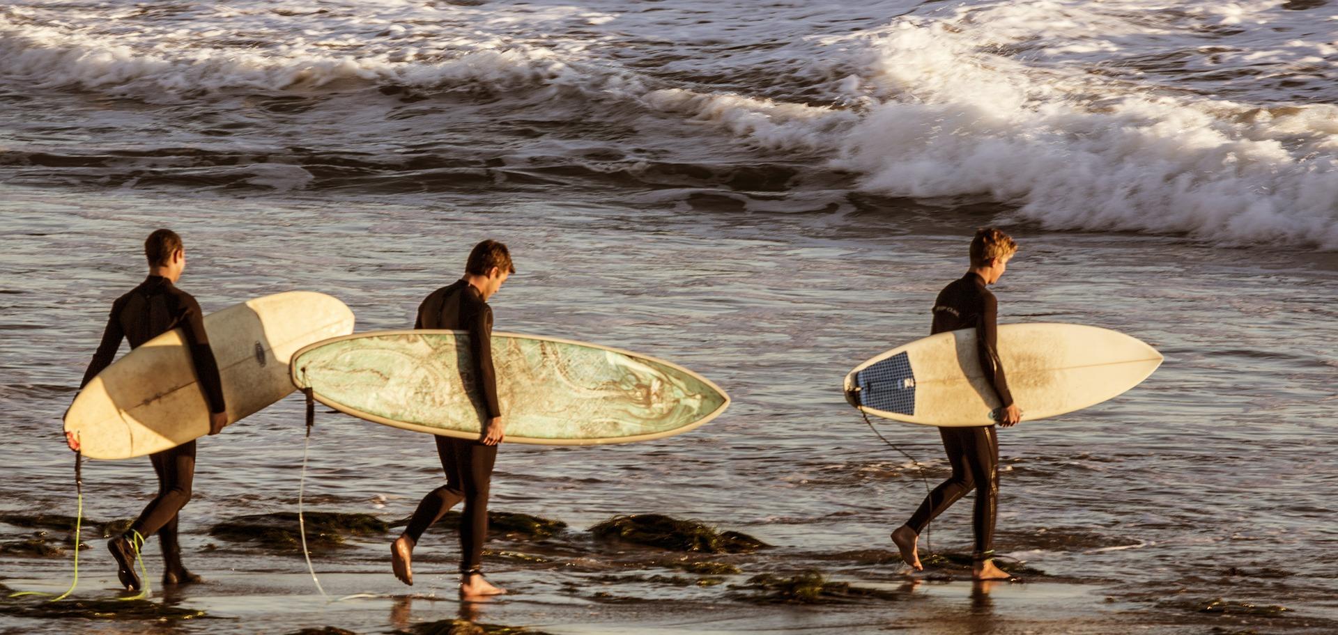 Surfistas com as suas pranchas