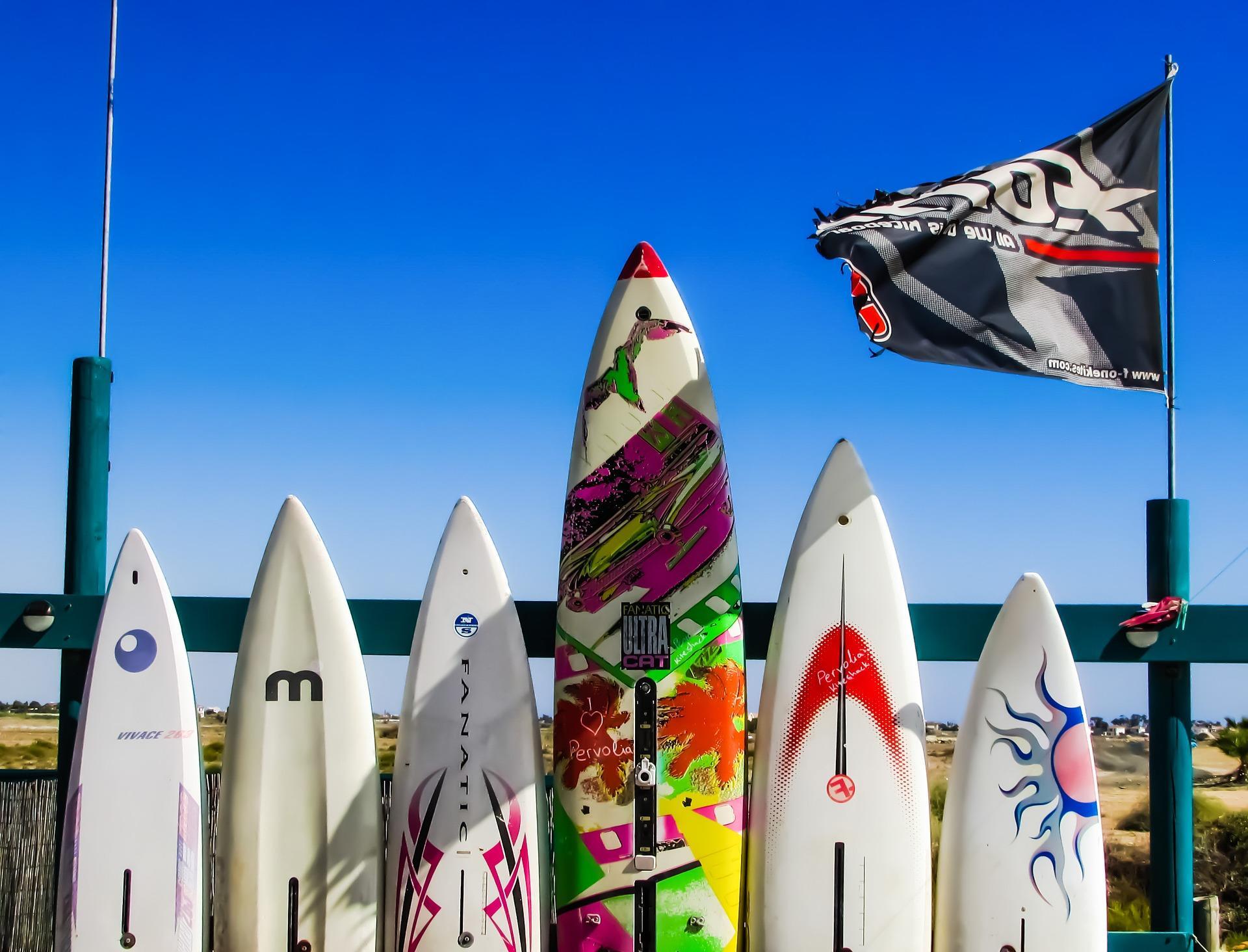 várias pranchas de surf