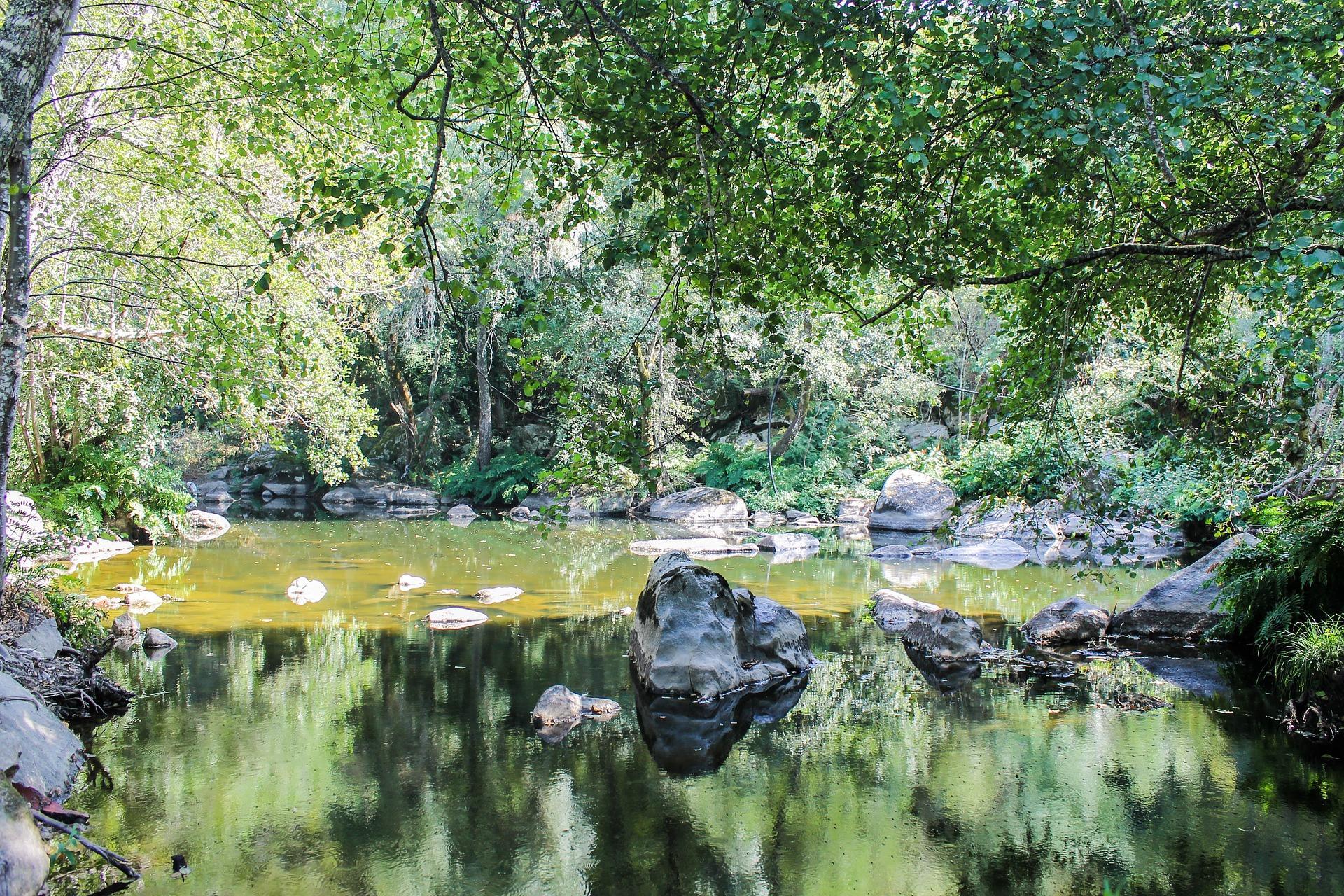 riacho em viseu para paddle