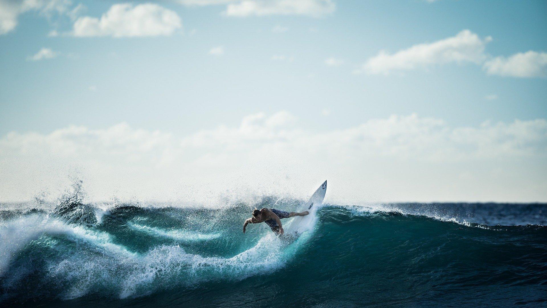 surfista na crista da onda
