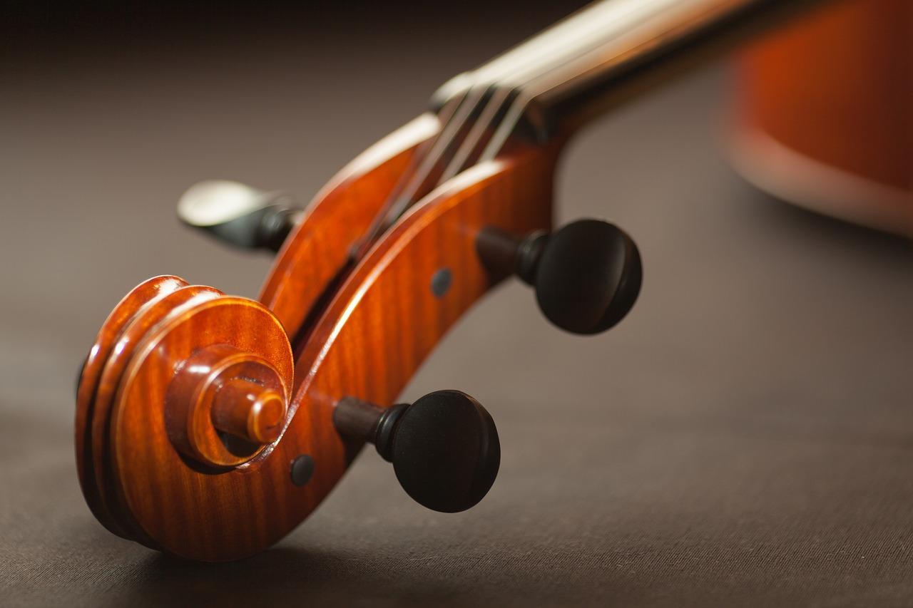violino em funco cinzento