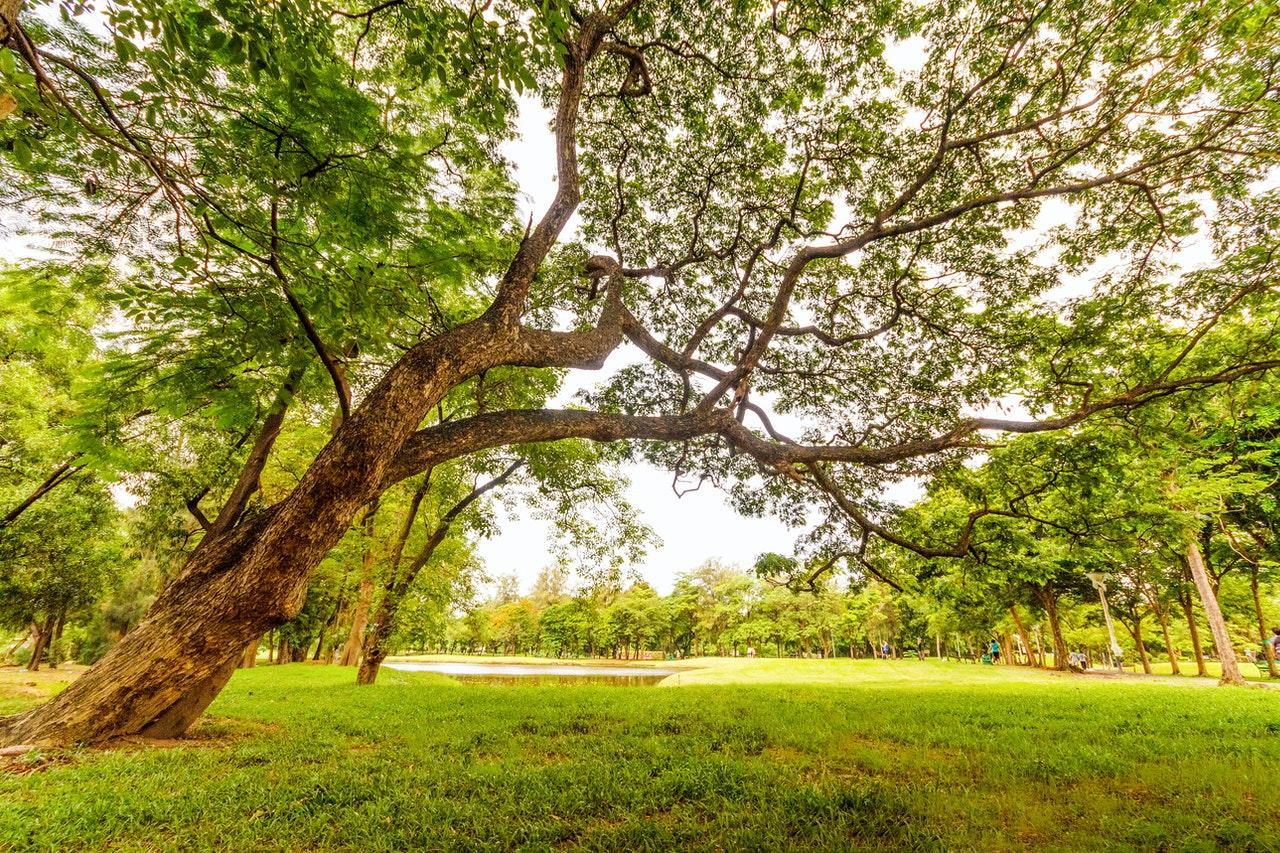 Estudar em Beja com tranquilidade