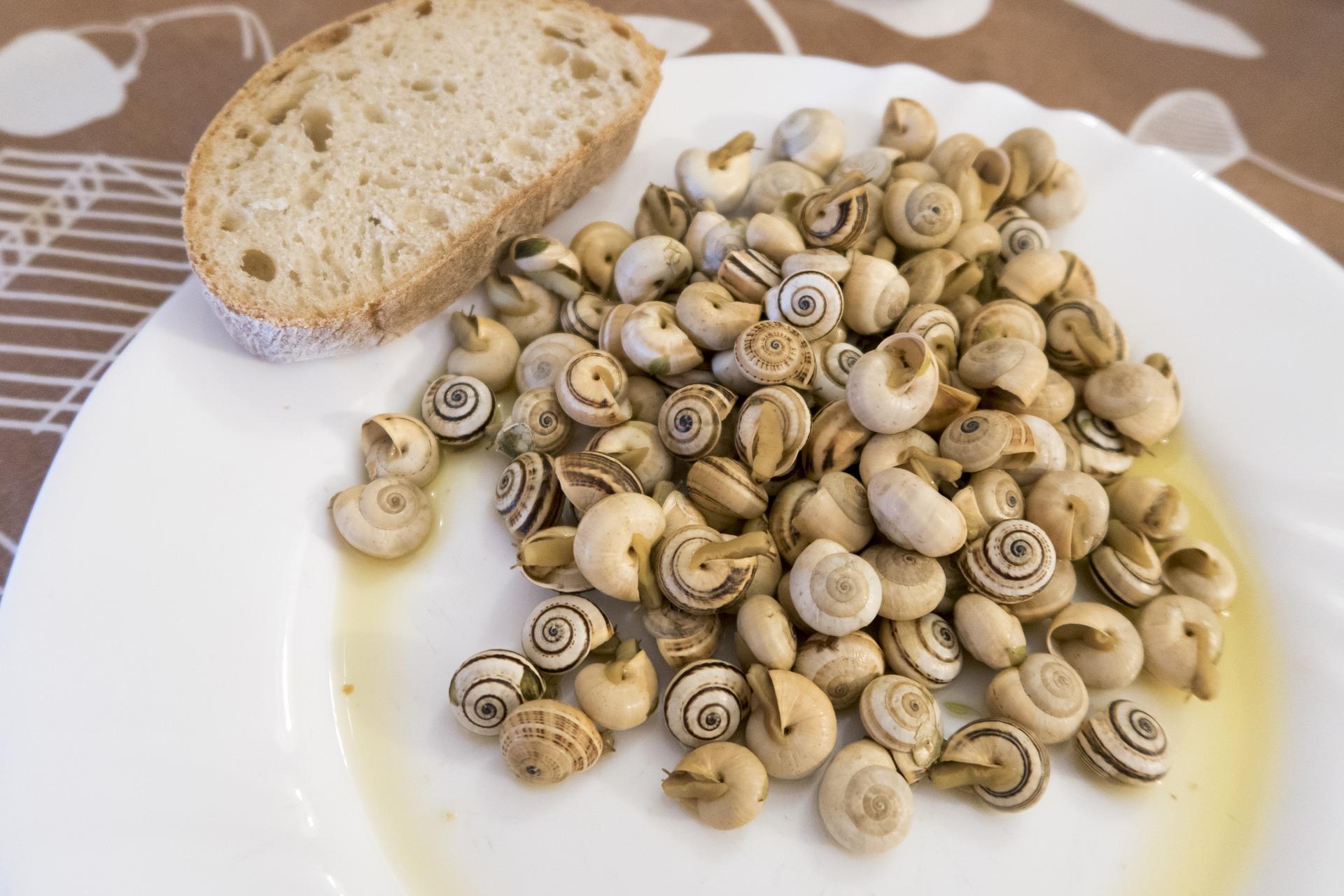 gastronomia de lisboa