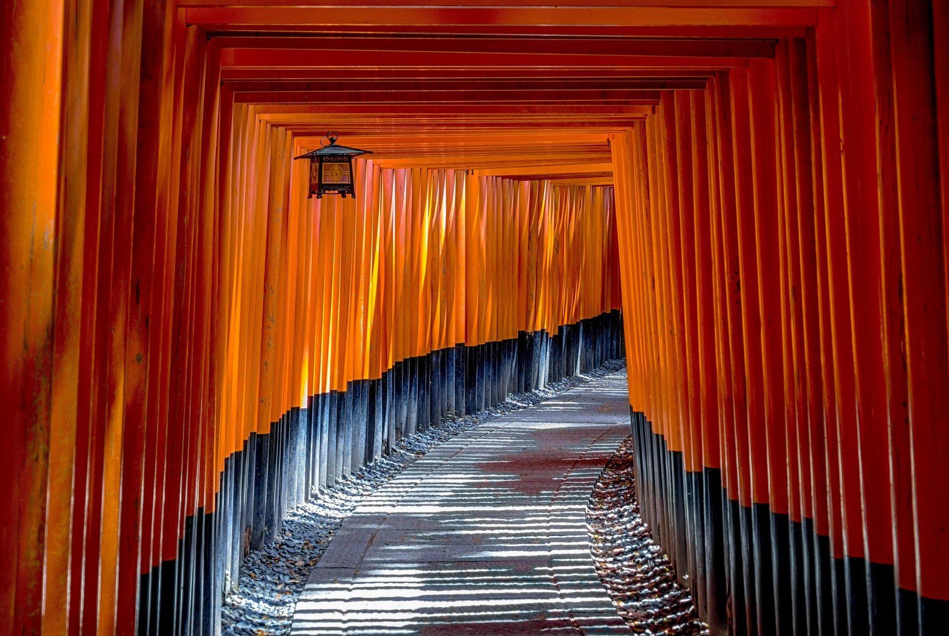 Aprender japones Coimbra