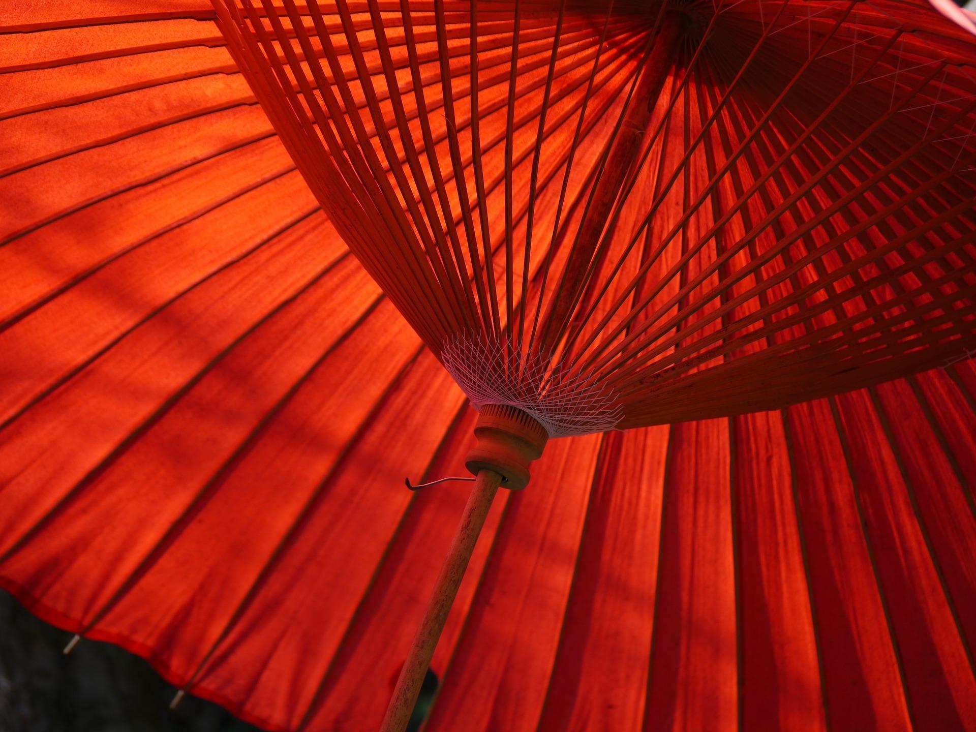 Aprender japonês é conhecer a cultura japonesa