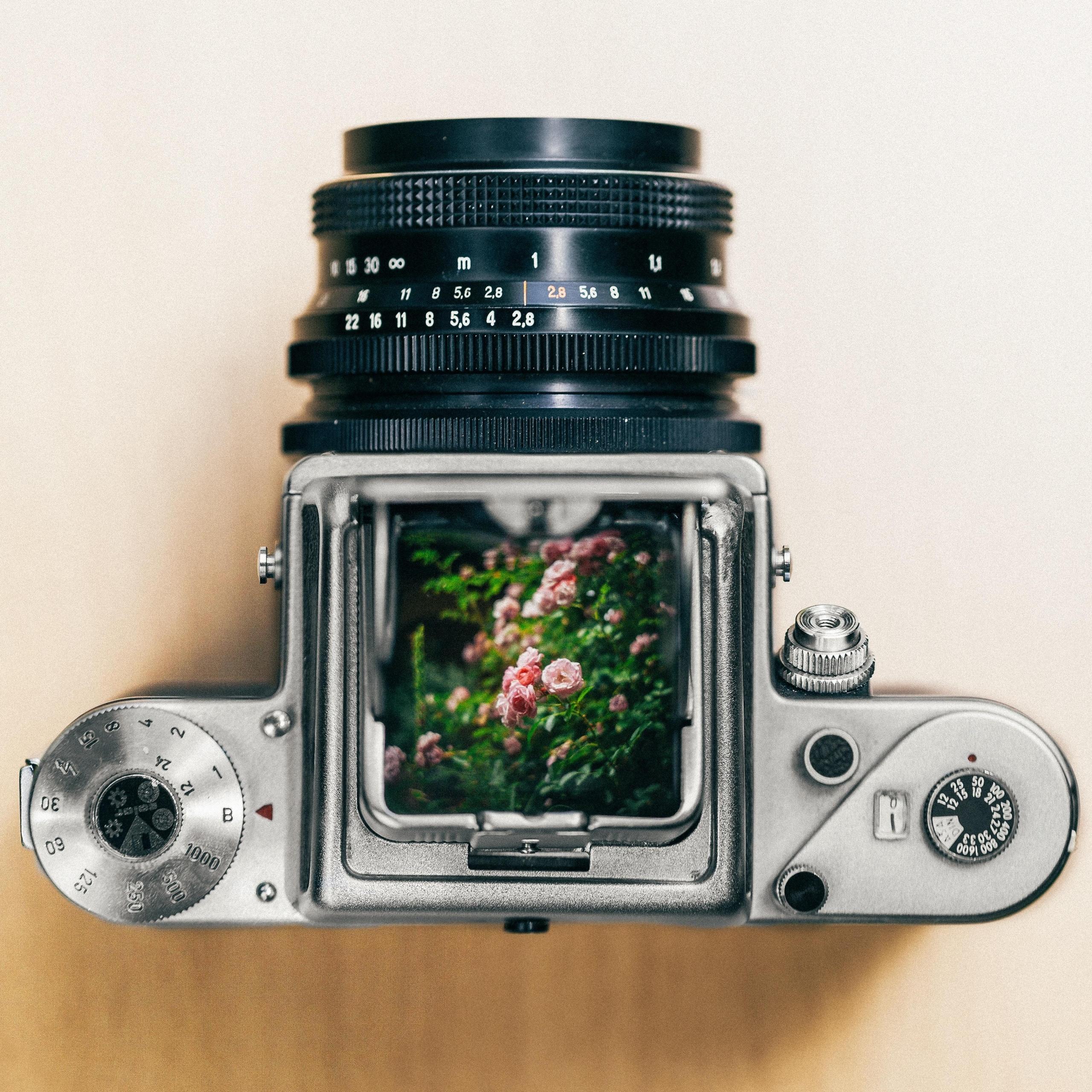 Tornar-se fotógrafo profissional através de um curso de fotografia