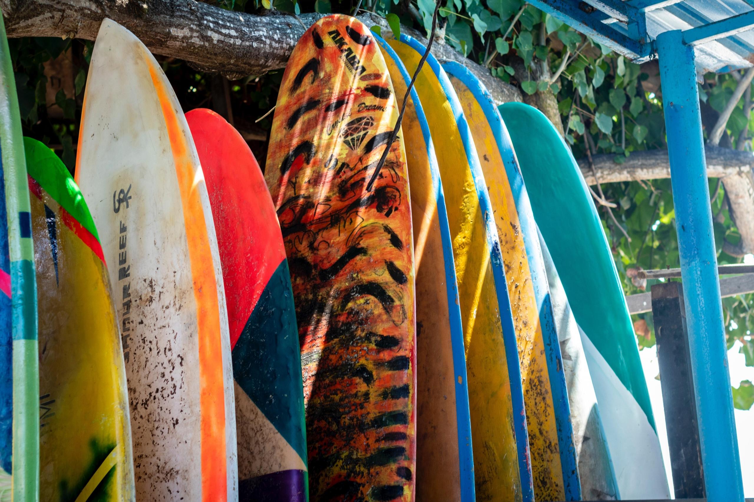 Vários tipos de prancha de surf
