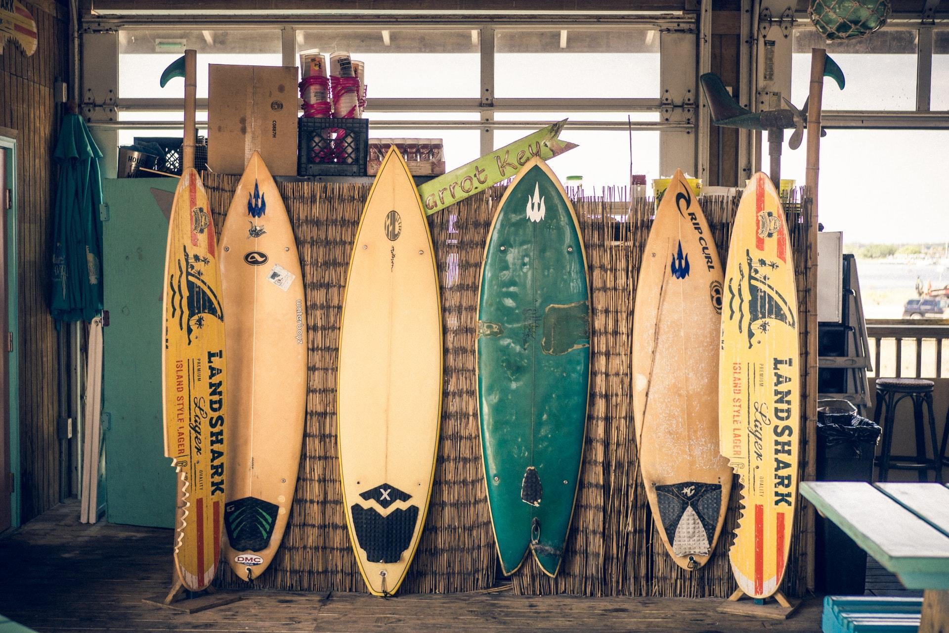 varias pranchas de surf alinhadas