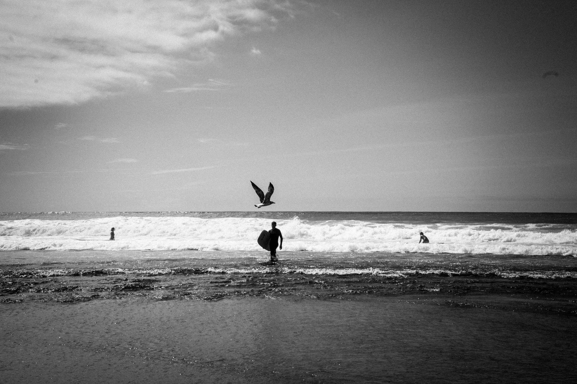 surfista a preto e branco