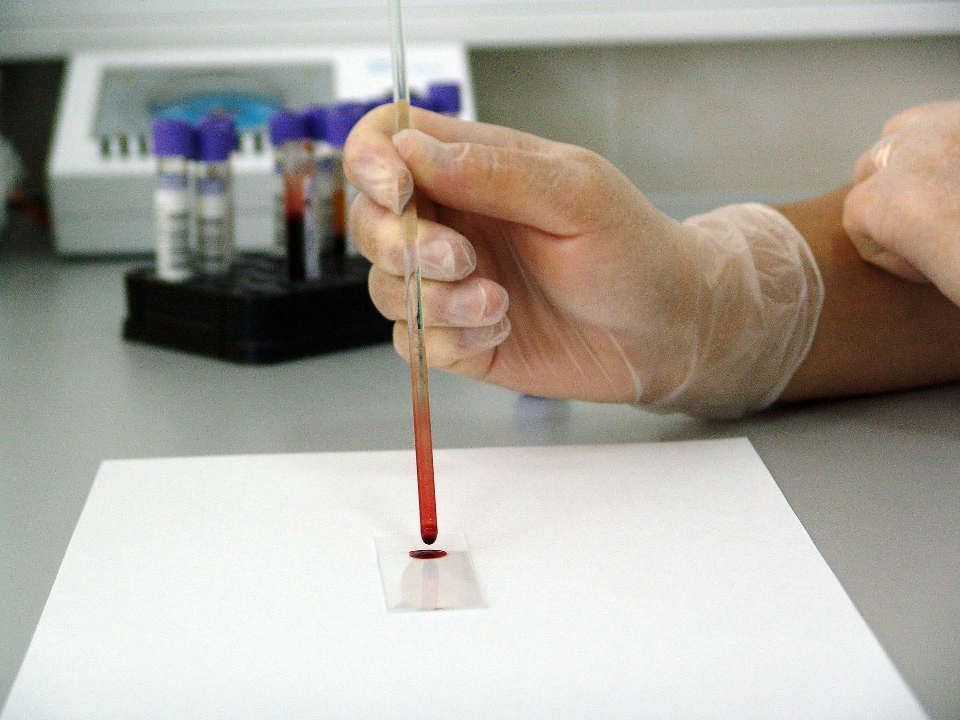 Curso de bioquímica em Portugal