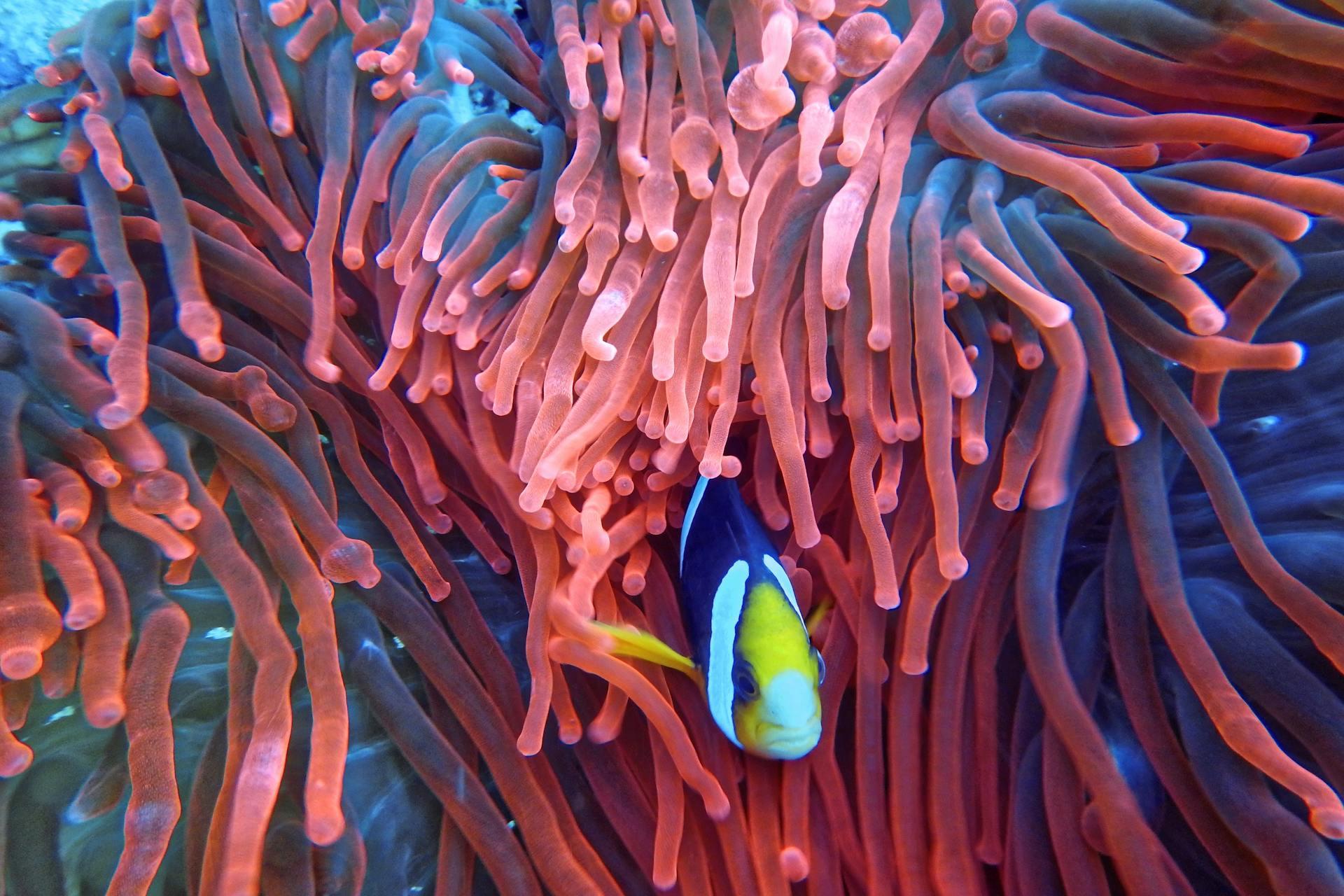 fundo do mar