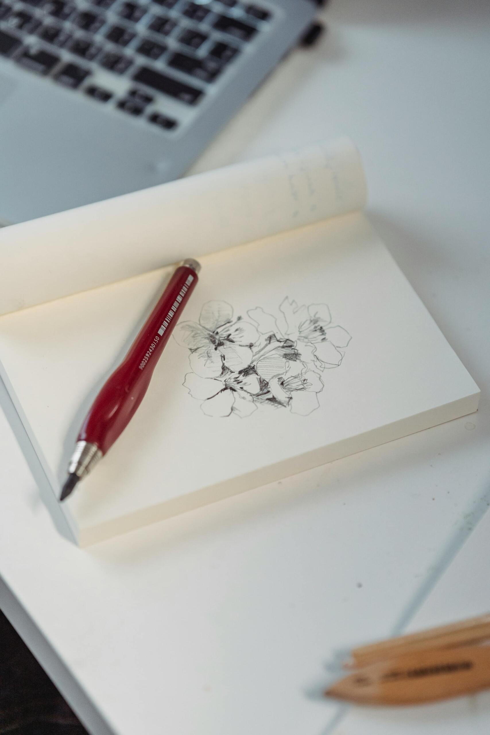 desenho de várias flores