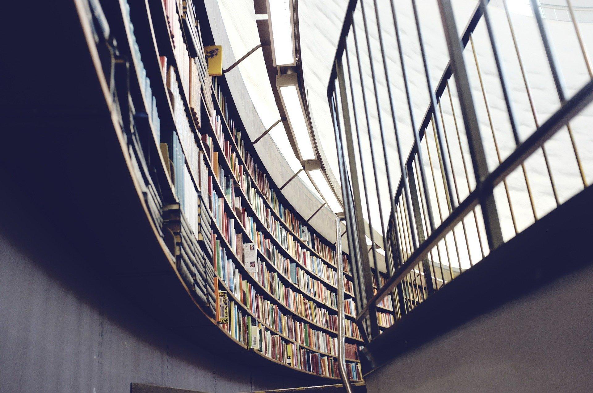 Estude todos os requisitos que são exigidos pela universidade