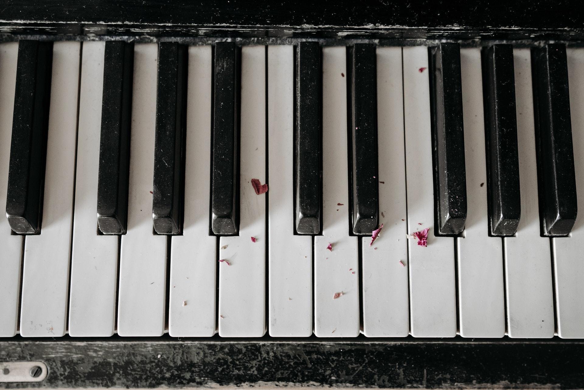 Verifique cuidadosamente vários elementos do piano