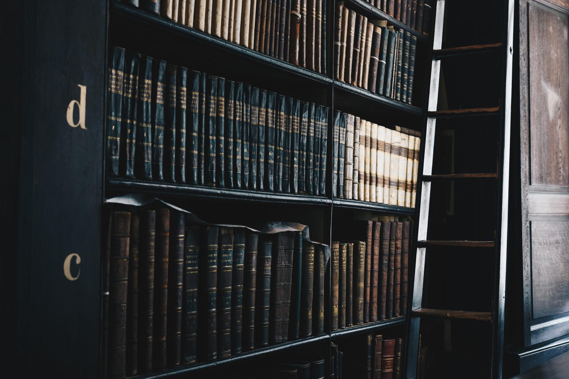 prateleiras de biblioteca