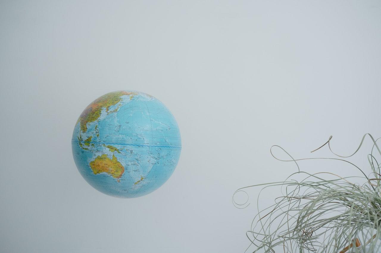 globo e planta