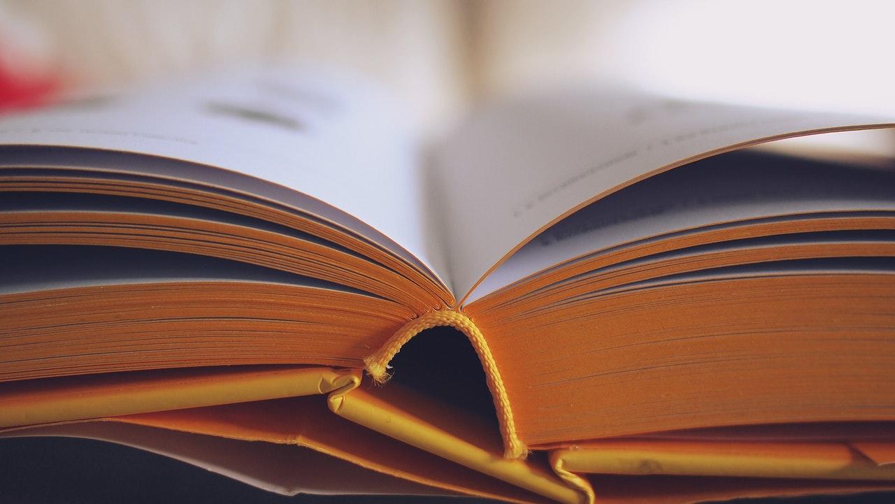 paginas de livro