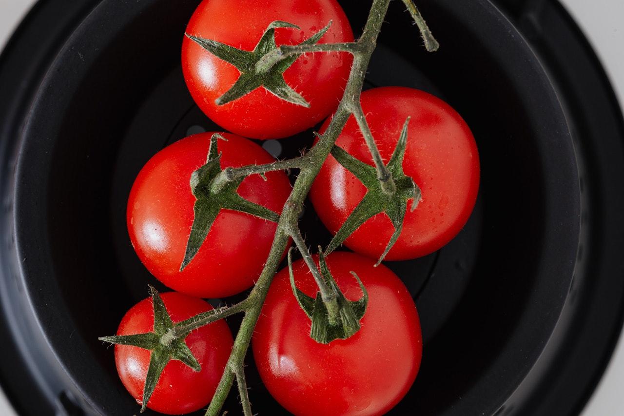rama de tomates