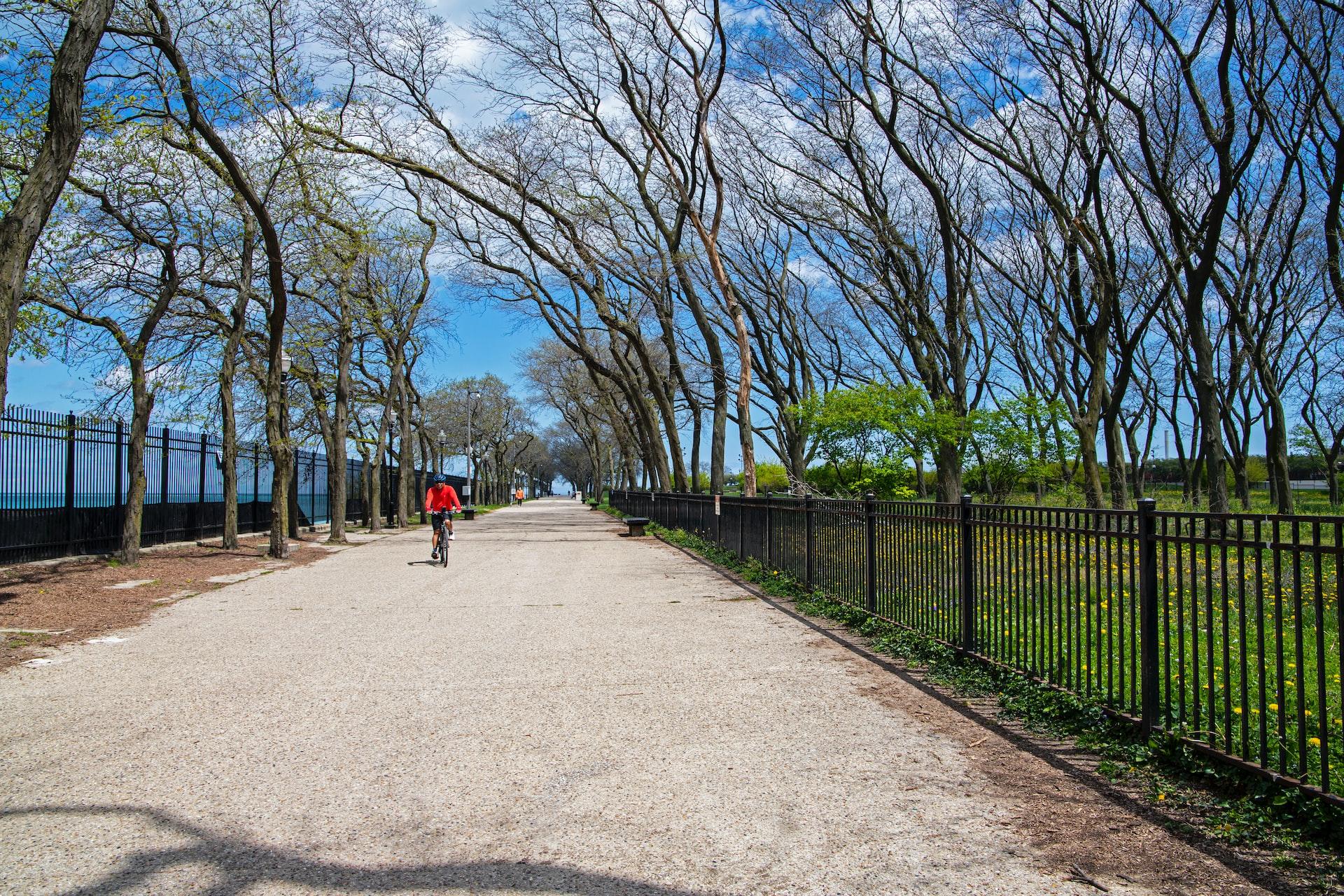 Parque com rapaz de bicicleta