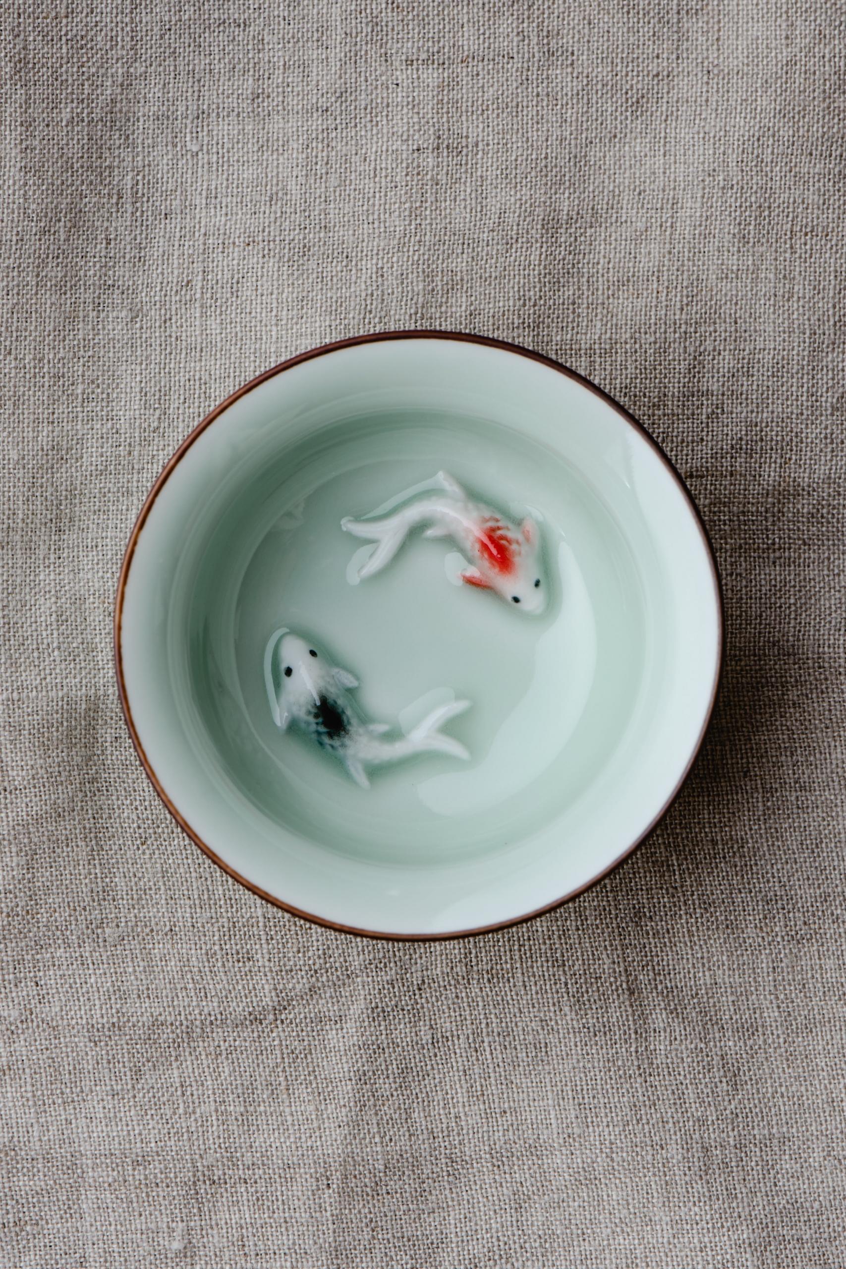 dois peixes de ceramica dentro de agua