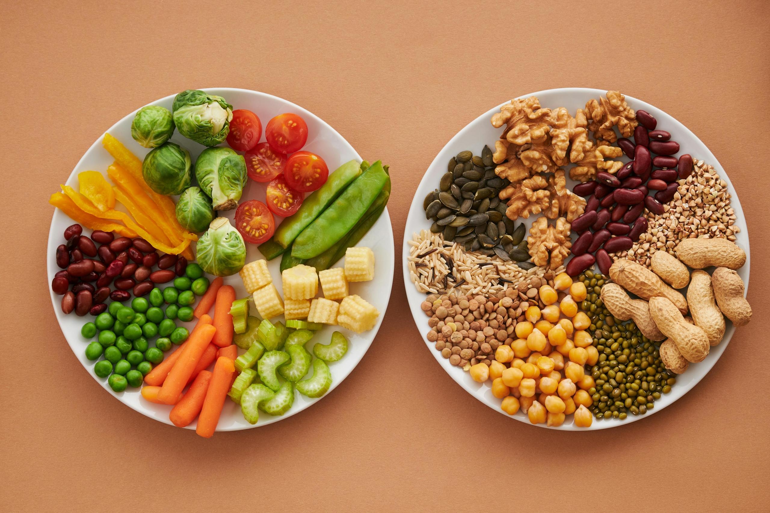 pratos com alimentos