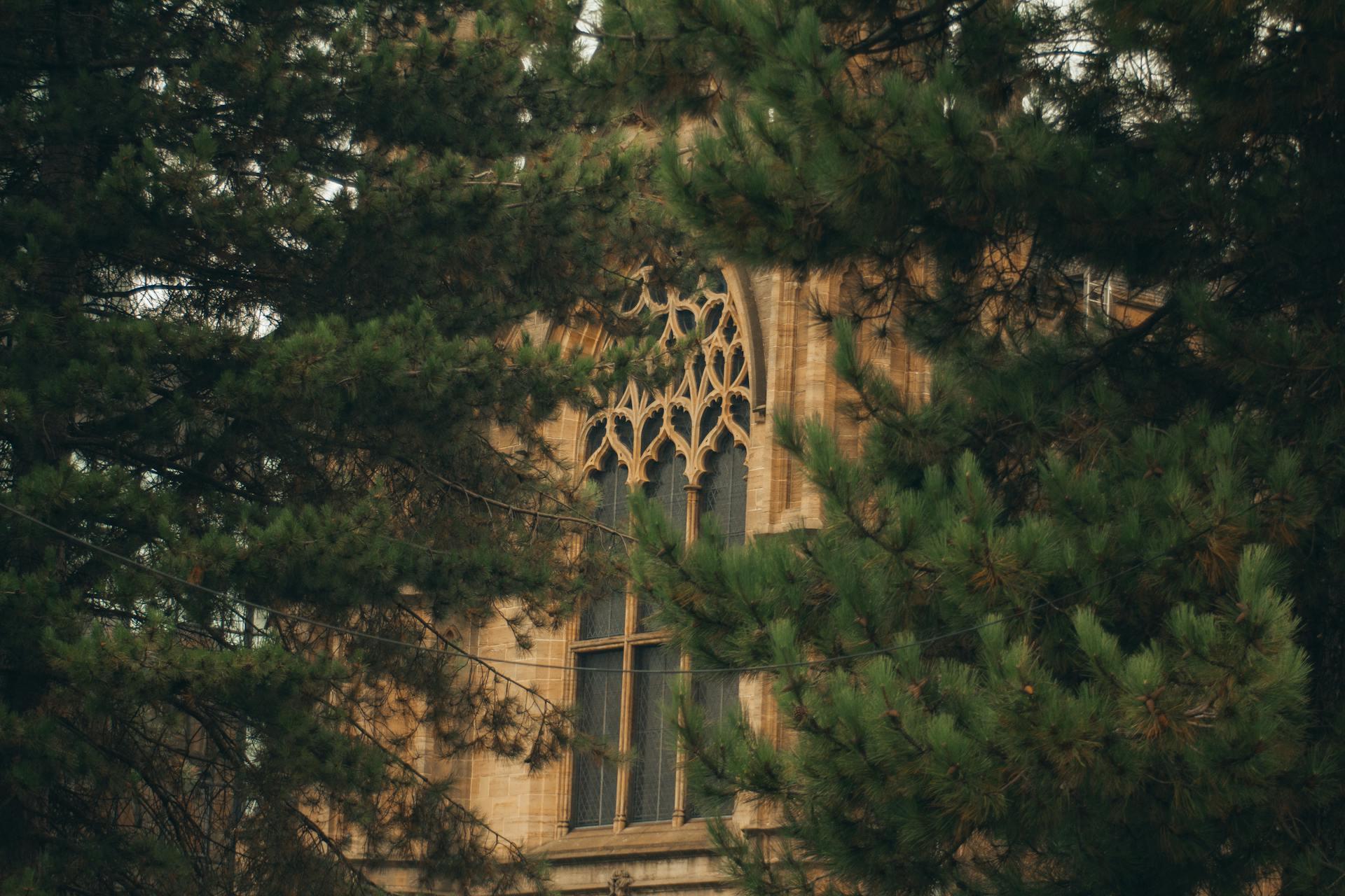 janela de catedral gótica