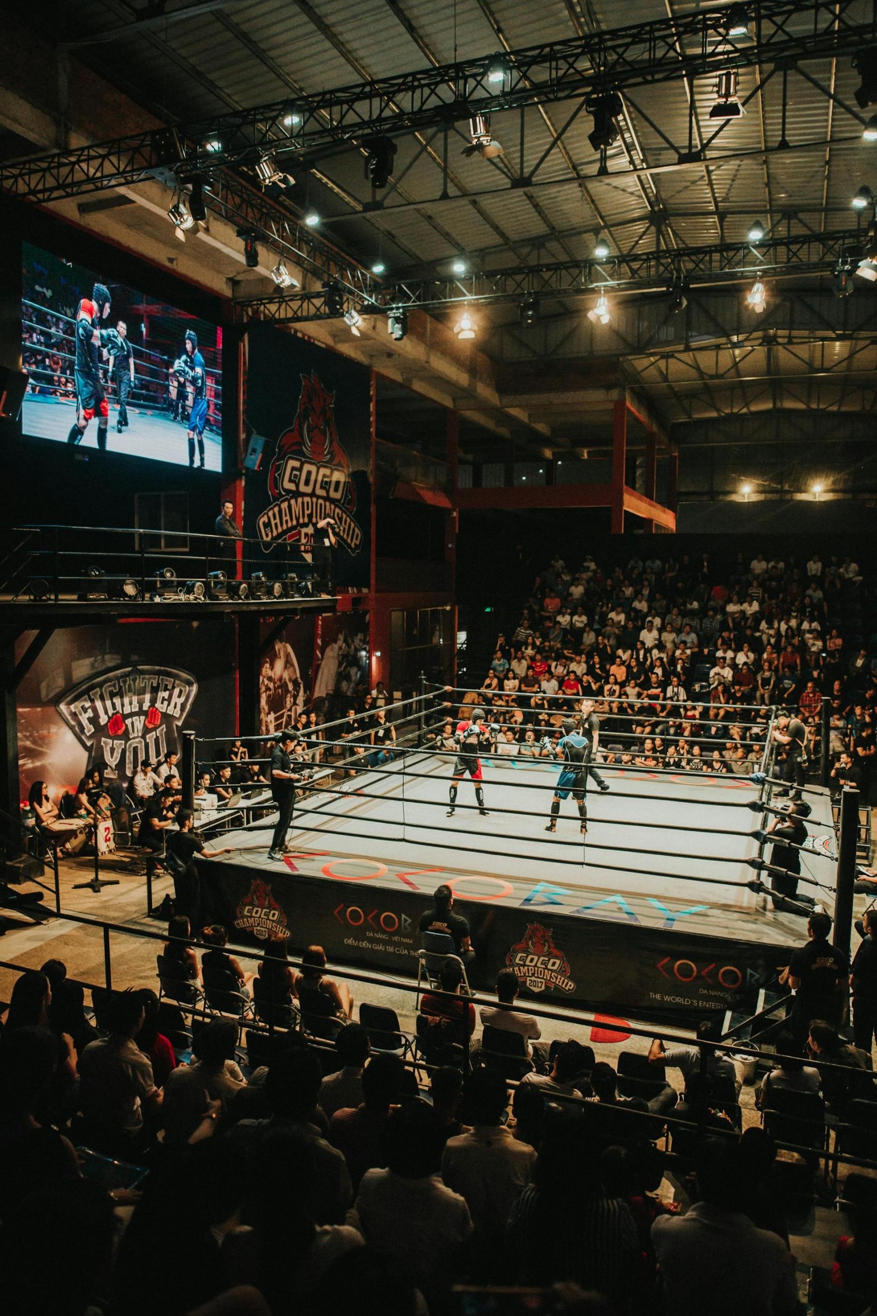 combate de boxe em ringue