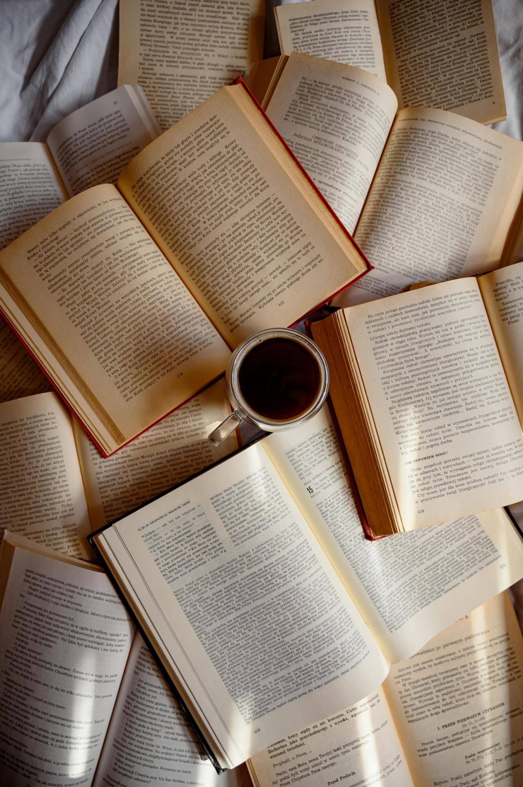 vários livros abertos todos juntos