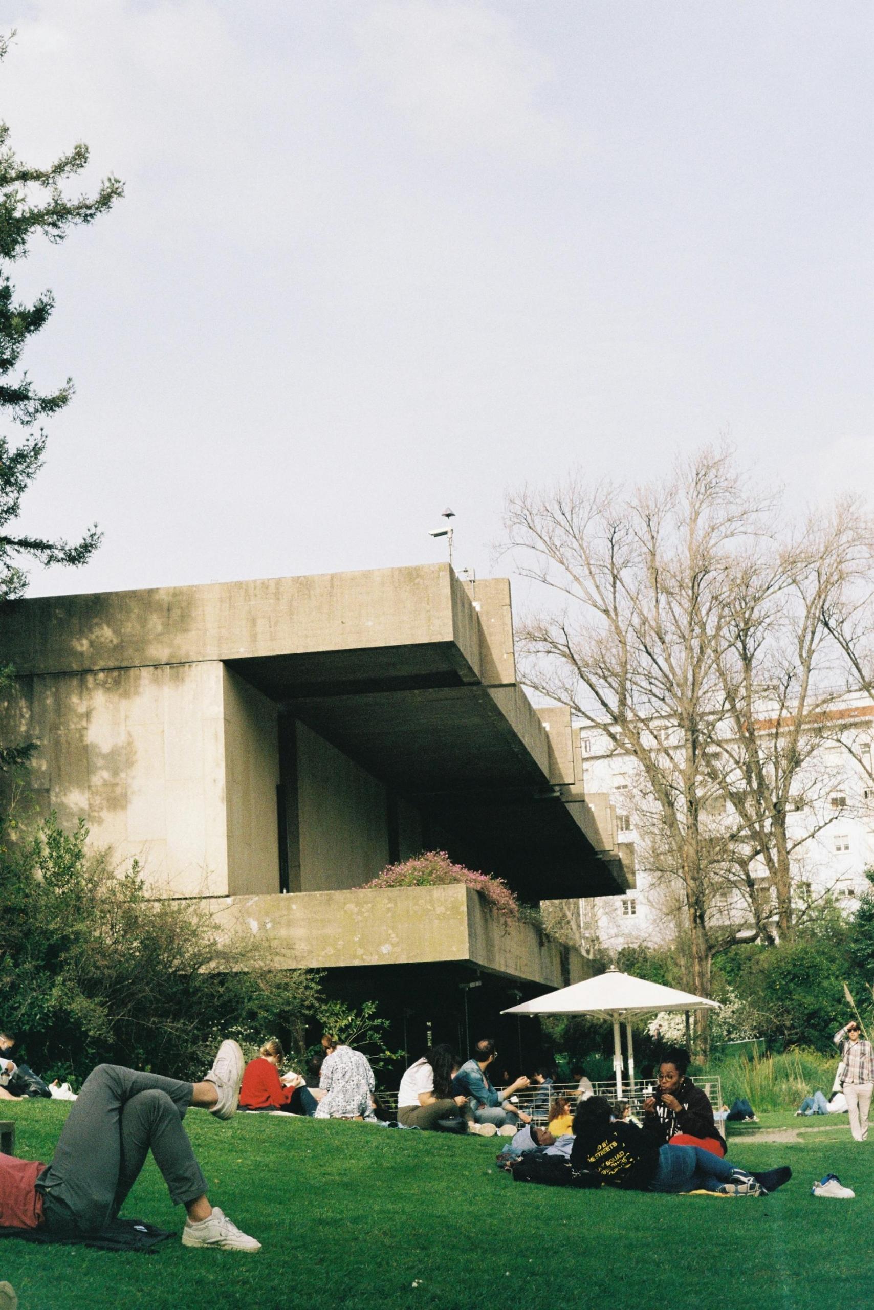 pessoas em jardim junto ao museu