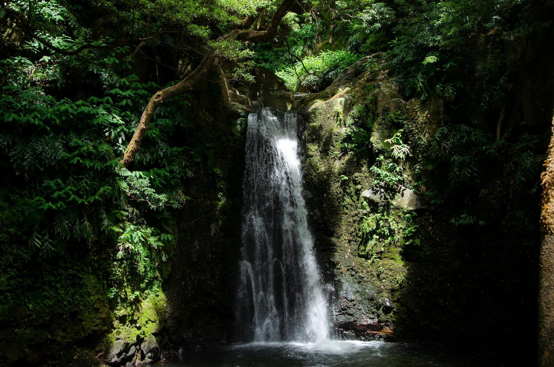 cascata com água