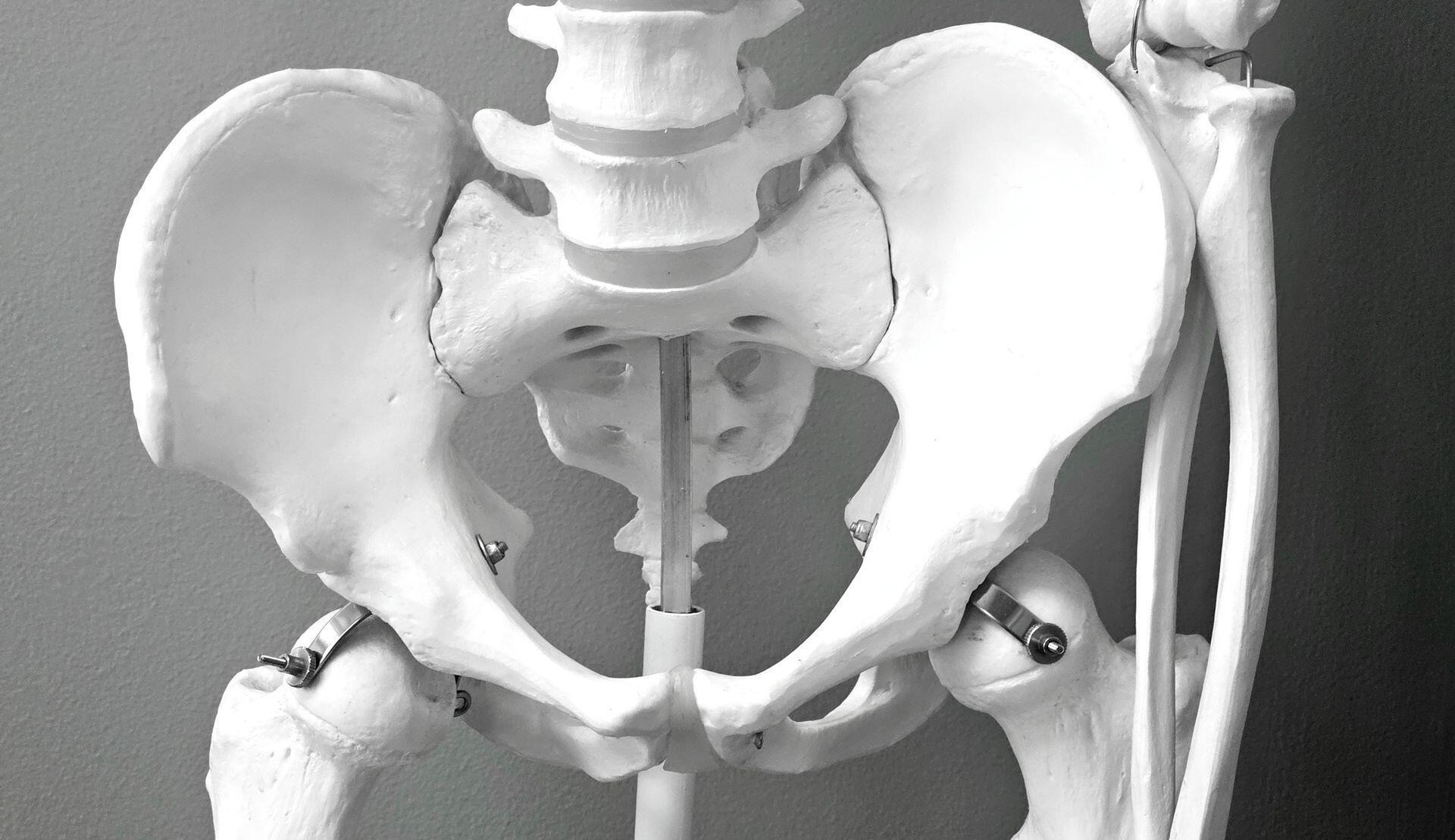esqueleto do corpo humano com parafusos