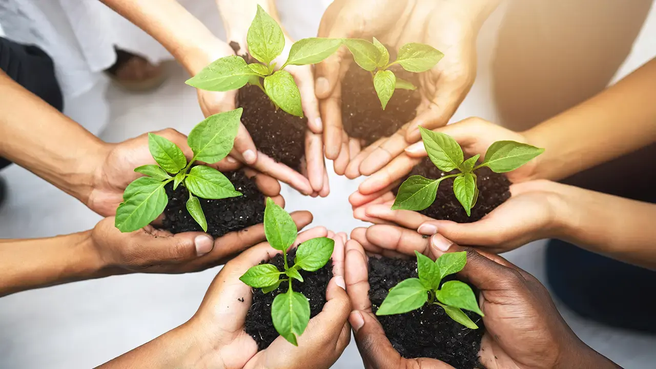 المبادرات العربية لتحقيق الاستدامة البيئية