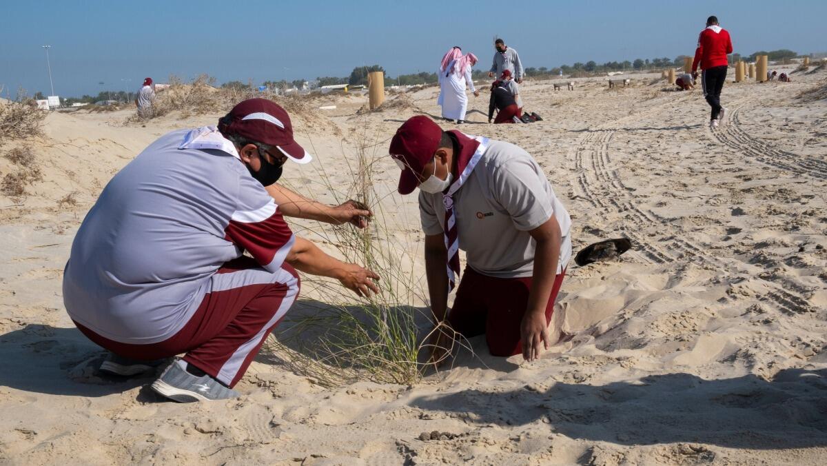 الحملات التطوعية للحفاظ على البيئة في قطر