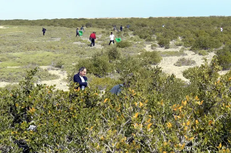 تنظيف المساحات الخضراء