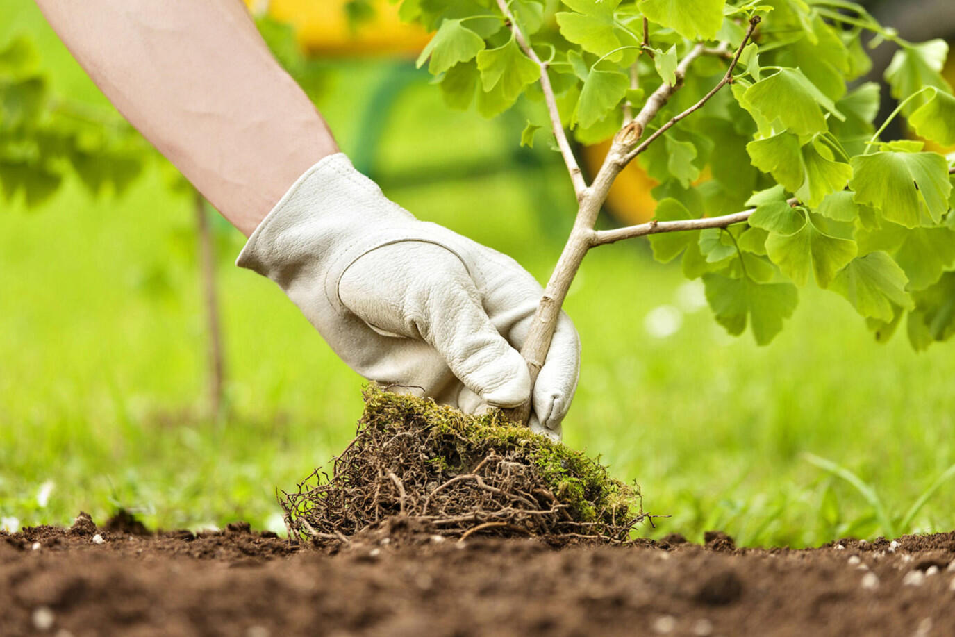أهمية الحفاظ على البيئة في قطر