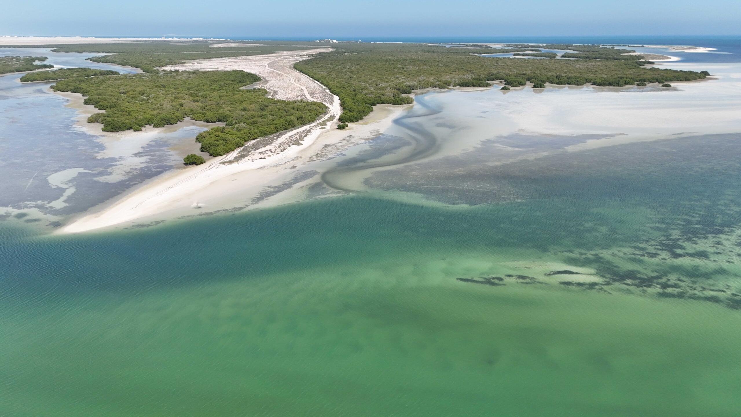 محمية الذخيرة