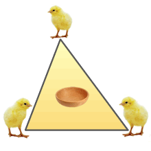 Ejercicios interactivos de elementos notables de un triángulo