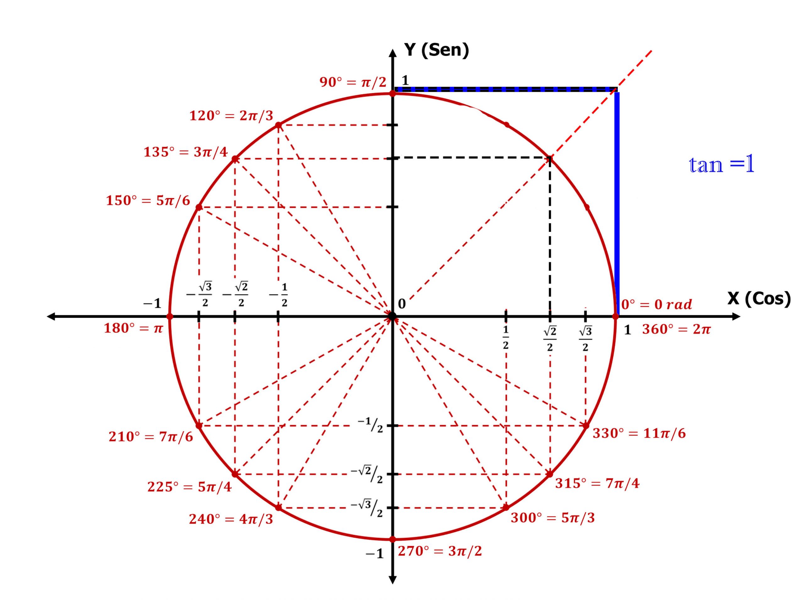 representacion grafica circulo unitario tangente